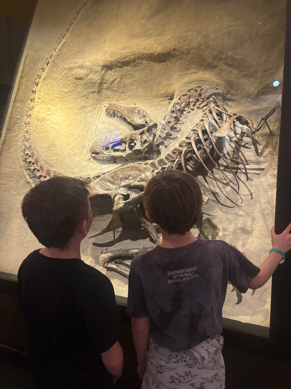 Dinosaur 2 Feb 21 20244