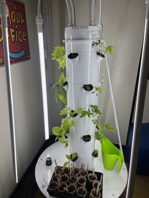 20250414 Grow Tower 2