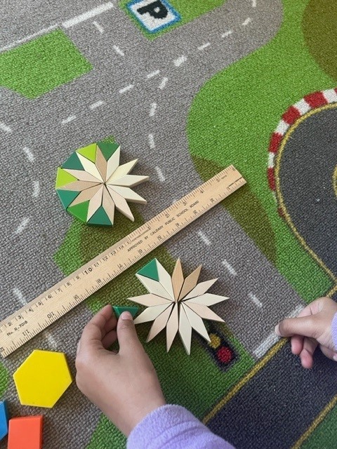 20240617 Grade 1 Symmetry Challenge