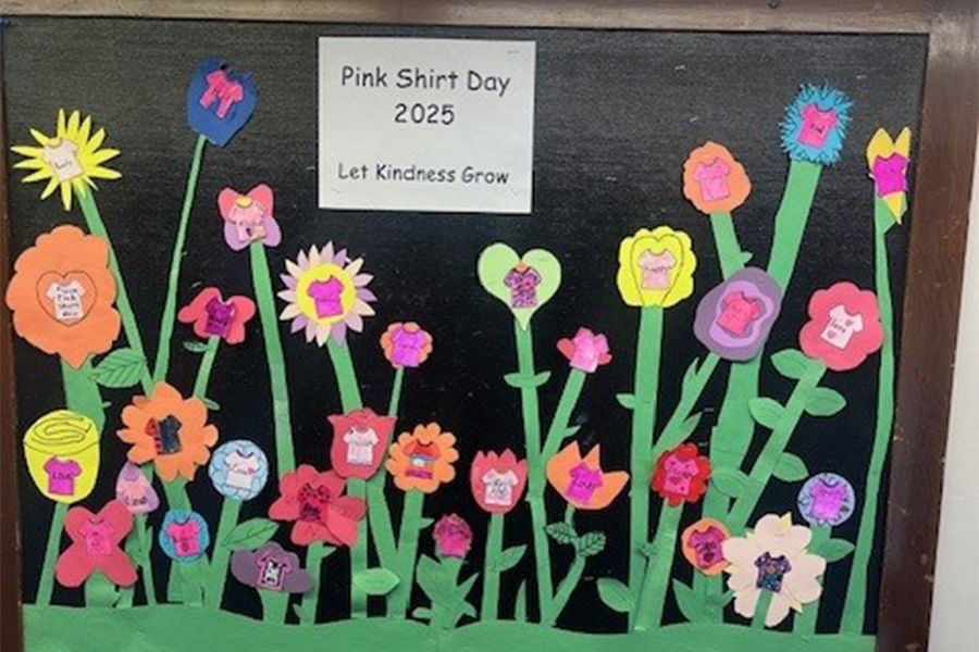 Pink Shirt Day 2